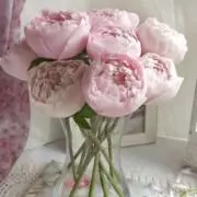 ♡LOVE♡