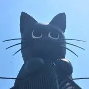 ポンドの画像
