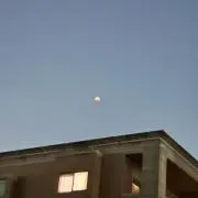Rの画像
