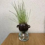 よっぴの画像
