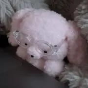 ♡ プロフ必読の画像
