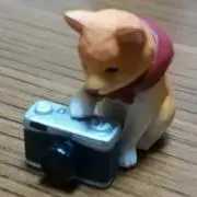 しばいぬたろう