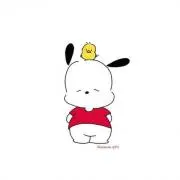 さっこ　【断捨離中】の画像
