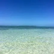 【6/3-22発送&対応不可】Keiの画像