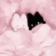 Manbooの画像
