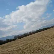 ジャンボ!!