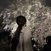 はな＊即日発送可能の画像