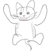 パウ猫の画像
