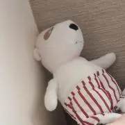 わちゃびーの画像