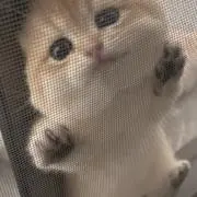 りの画像