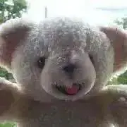ファーファの画像