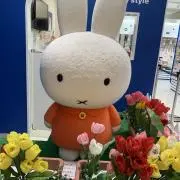 かーの画像