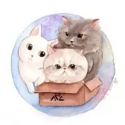 MOMOタロウ