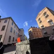 ヤーヤーの画像