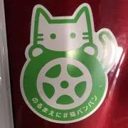 raphaelの画像