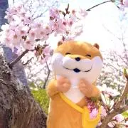 なつ