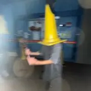 ひらたその画像