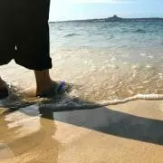 YNの画像