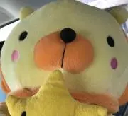 ひろの画像