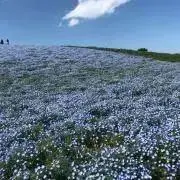 めい*まとめ買い歓迎！の画像