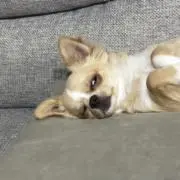 ゆなの画像