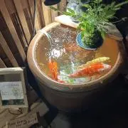 プーさんの画像