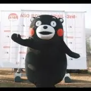 ポチの画像
