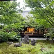 mimiの画像
