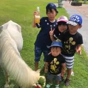 ☆ハチ☆発送お急ぎの方コメント下さいの画像