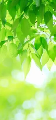 Ｈ・Ｋ☆24時間以内発送☆の画像