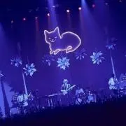 ポチ