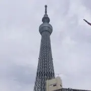 onちゃんの画像