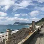 蒟蒻畑の画像