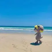 Lingokumaの画像