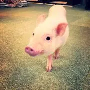 Mの画像