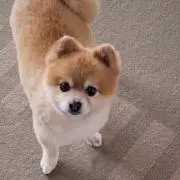 にこにこの画像