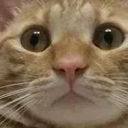 タマくん☆