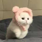 まるもも♧の画像