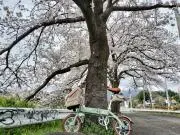 日向ぼっこの画像