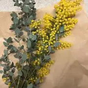 あいすの画像