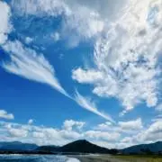 えぬの画像
