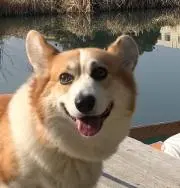 プリーザの画像