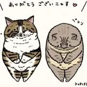 ひろの画像