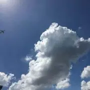 青のり