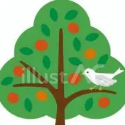 3/24～26発送お休みです。きっこ