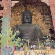 チコの画像