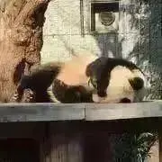 anの画像