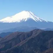 しゅの