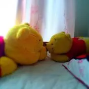 ちょこの画像