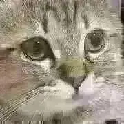 なぁちゃん【合言葉で値引】の画像